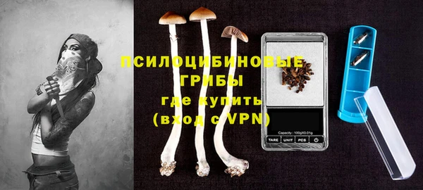 ПСИЛОЦИБИНОВЫЕ ГРИБЫ Переславль-Залесский