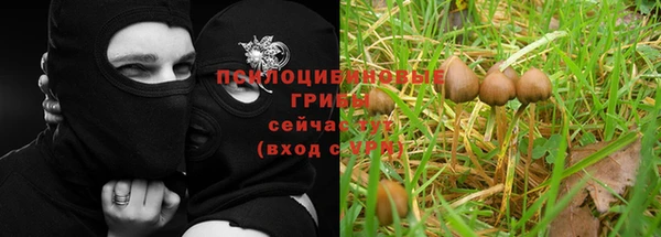 амф Абдулино