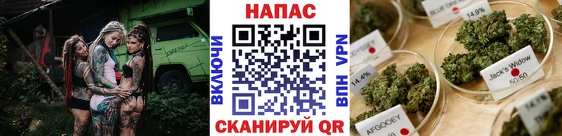 где купить   Починок  Шишки марихуана семена 